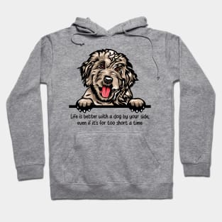 Life is better with a dog by your side, even if it's for too short a time Hoodie